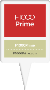 F1000
